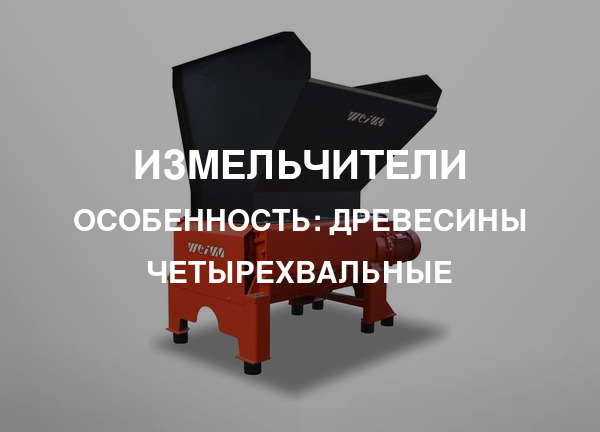 Особенность: Древесины четырехвальные